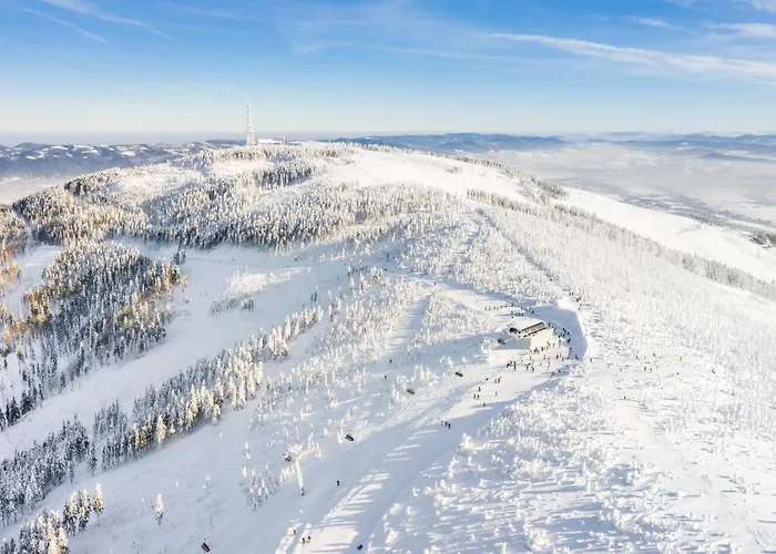 Gronie Ski&bike 3* Szczyrk