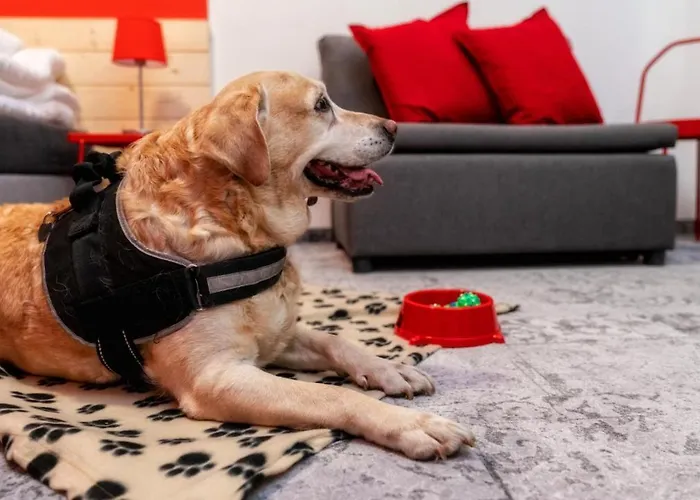 Gronie & Bike 3* Szczyrk